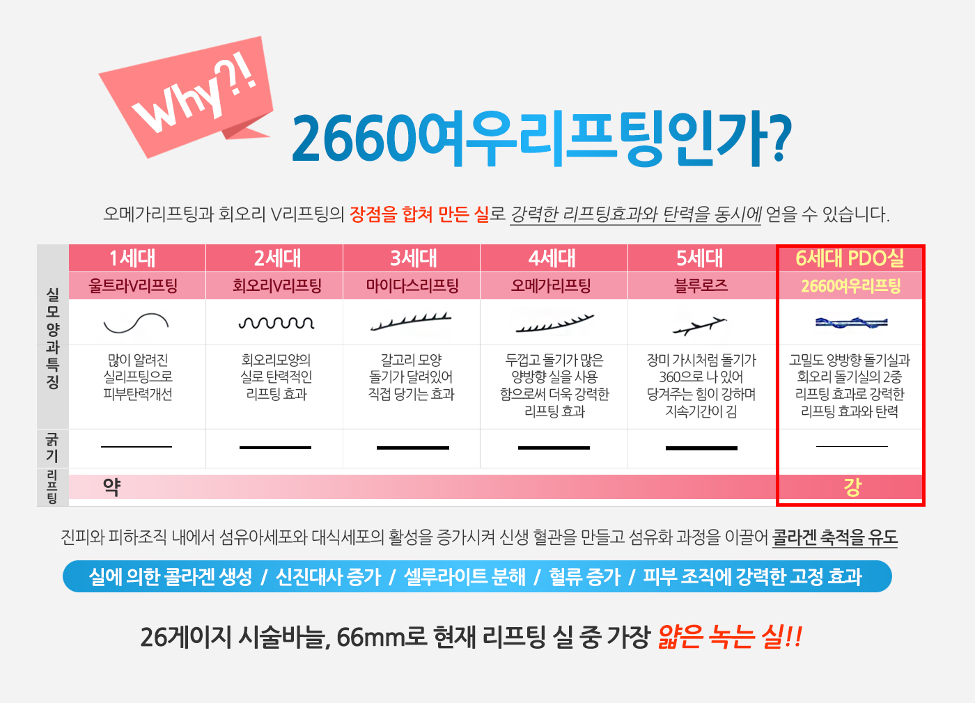 2660여우리프팅