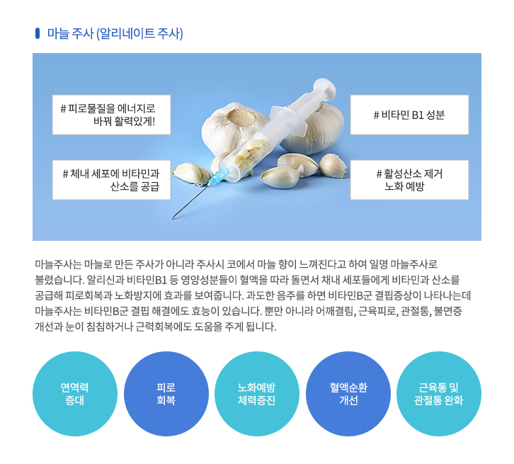 비타민주사 마늘 주사