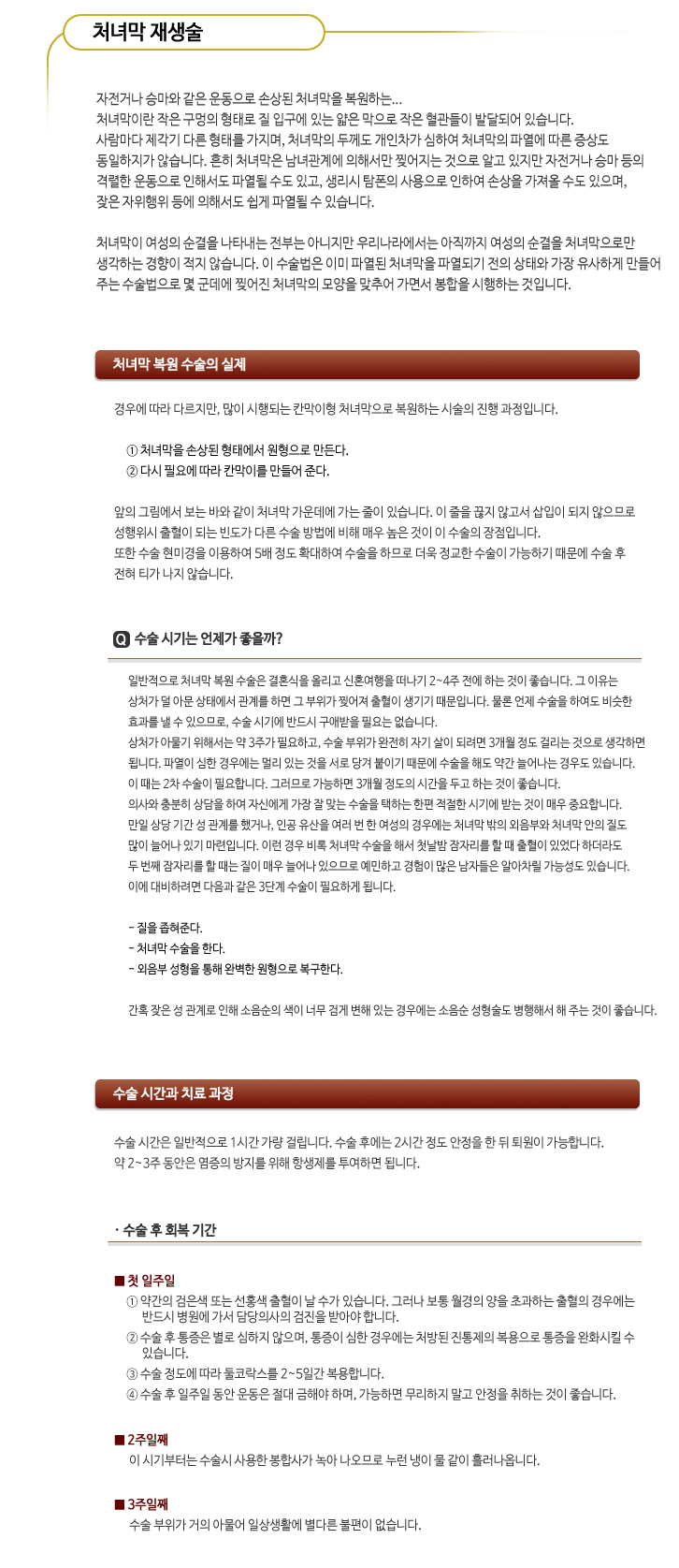 레이저 처녀막 복원술